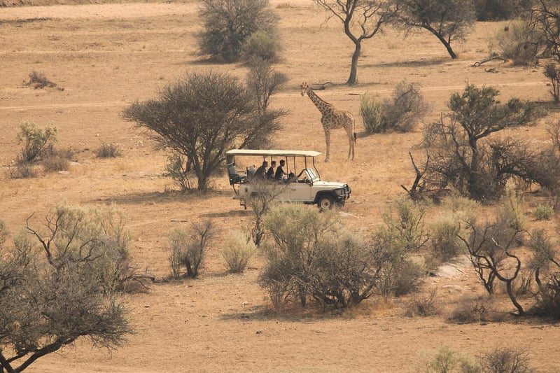 Future Exploration Tours